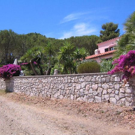 Studio-Appartment In Landhaus Mit Meerblick Porto Azzurro Bagian luar foto