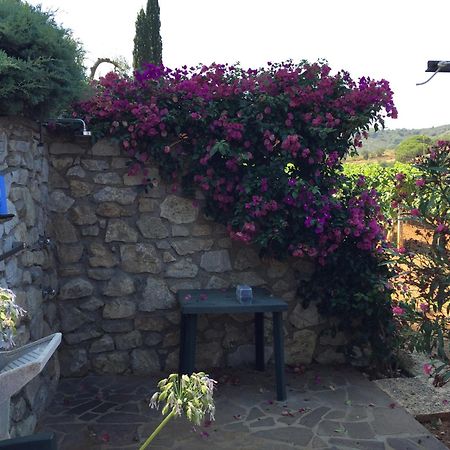 Studio-Appartment In Landhaus Mit Meerblick Porto Azzurro Bagian luar foto
