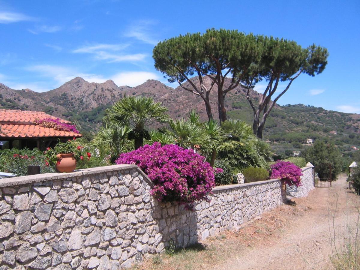 Studio-Appartment In Landhaus Mit Meerblick Porto Azzurro Bagian luar foto