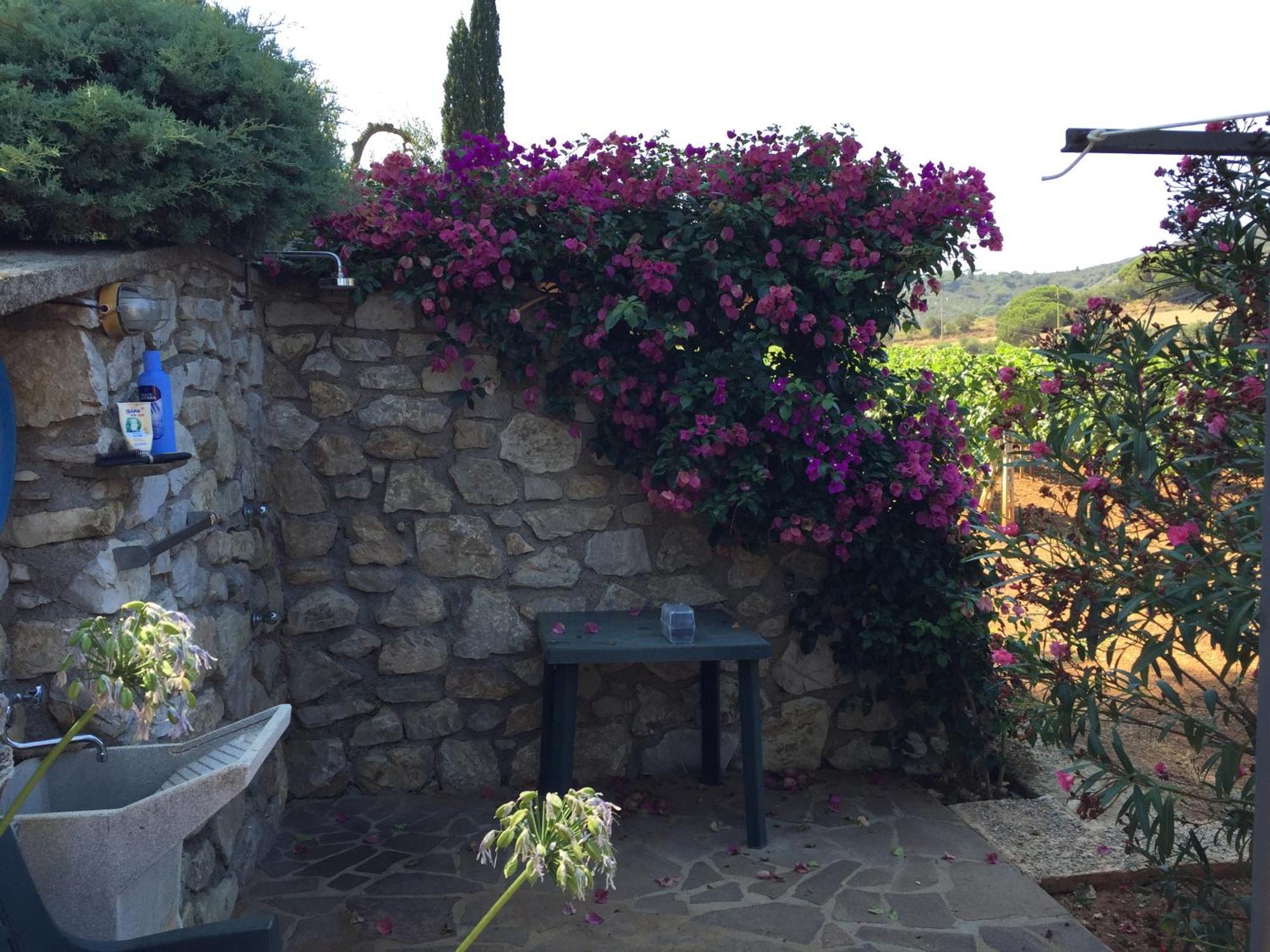 Studio-Appartment In Landhaus Mit Meerblick Porto Azzurro Bagian luar foto