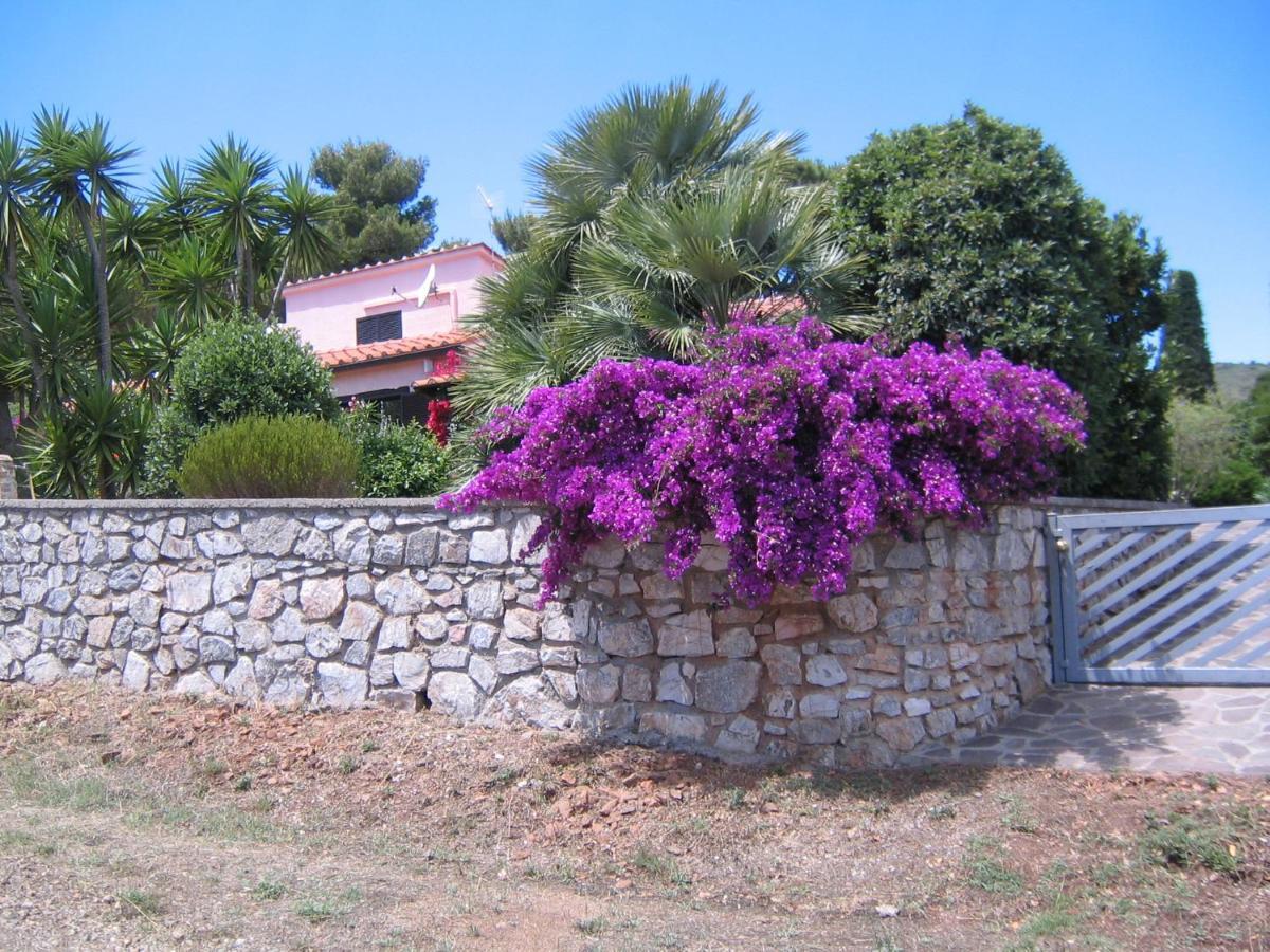 Studio-Appartment In Landhaus Mit Meerblick Porto Azzurro Bagian luar foto