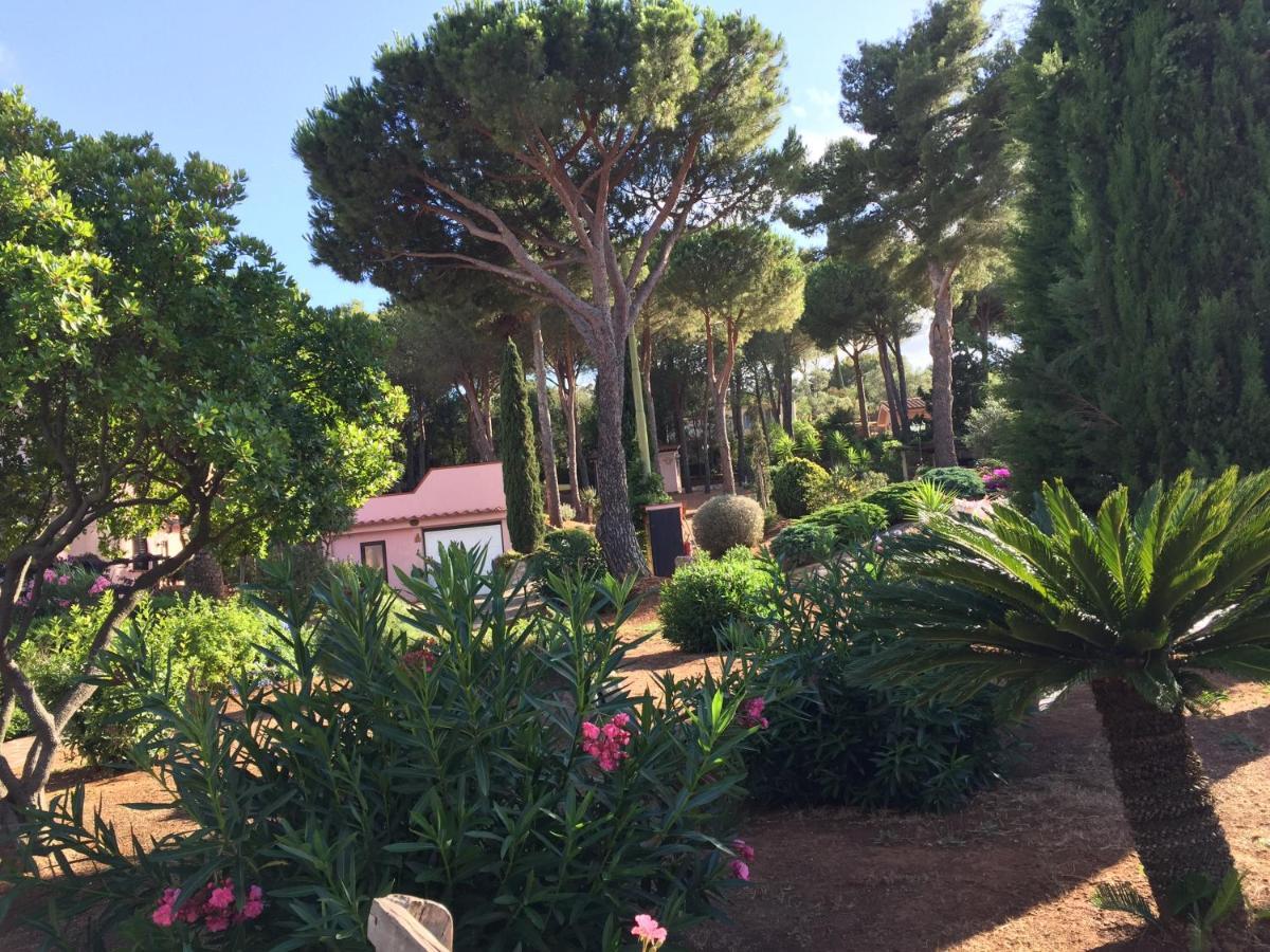 Studio-Appartment In Landhaus Mit Meerblick Porto Azzurro Bagian luar foto